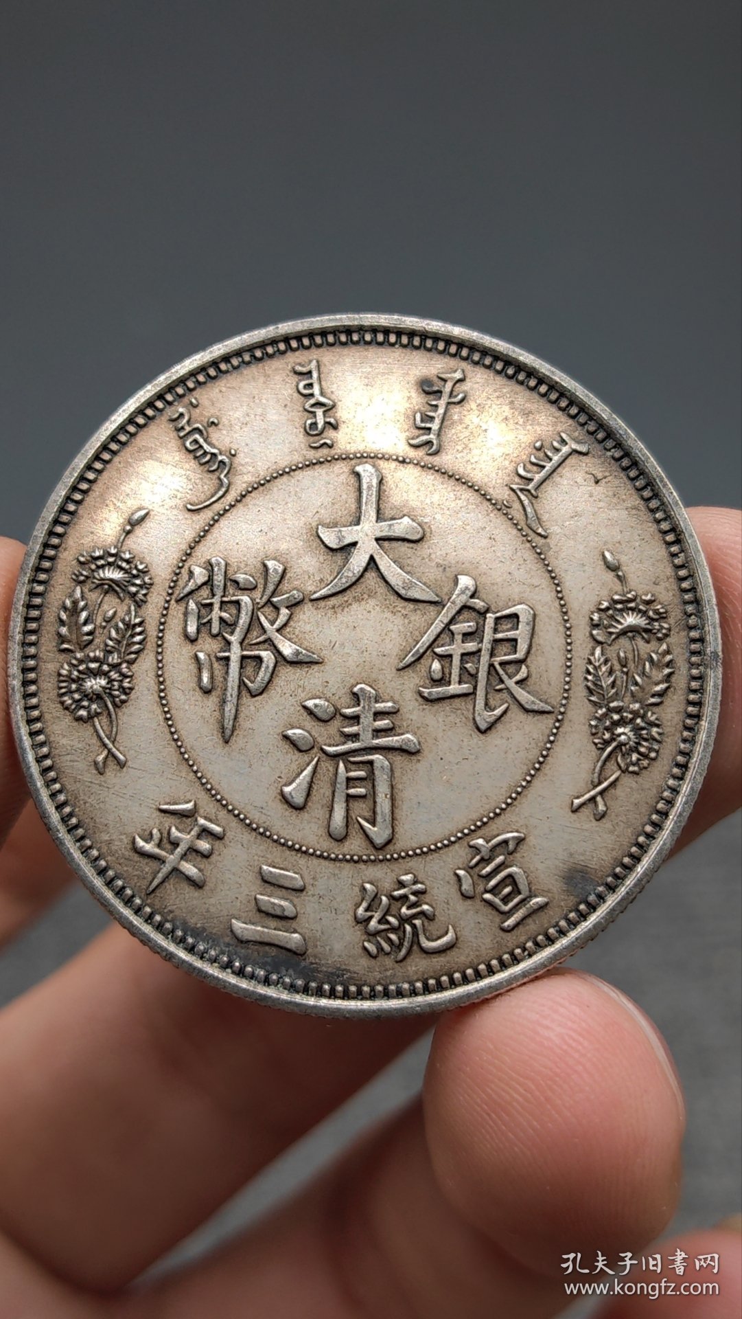 银元。大尾龙