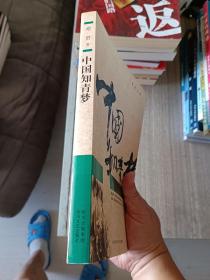 中国知青梦