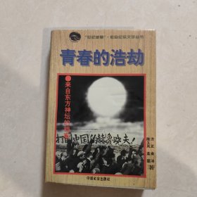 青春的浩劫:来自东方神坛的档案