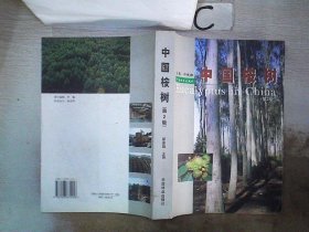 中国桉树
