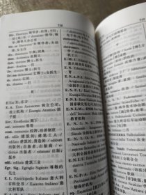 现代意汉汉意词典
