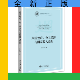 大國效應、分工經(jīng)濟與國家收入差距