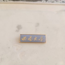 西南大学校徽徽章