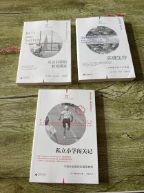 理想国纪实系列套装：失业白领的职场漂流+夹缝生存+私立小学闯关记（三本合售）