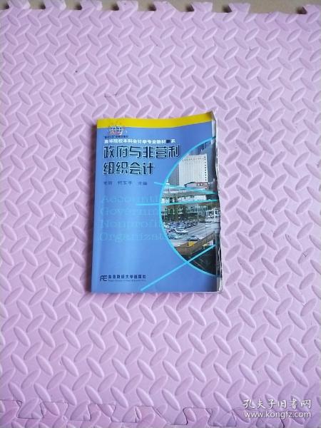 高等院校本科会计学专业教材新系：政府与非营利组织会计（会计本科）