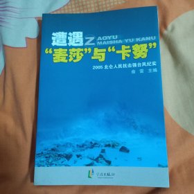 遭遇“麦莎”与“卡努”：2005北仑人民抗击强台风纪实