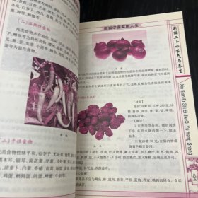 新编偏方秘方大全