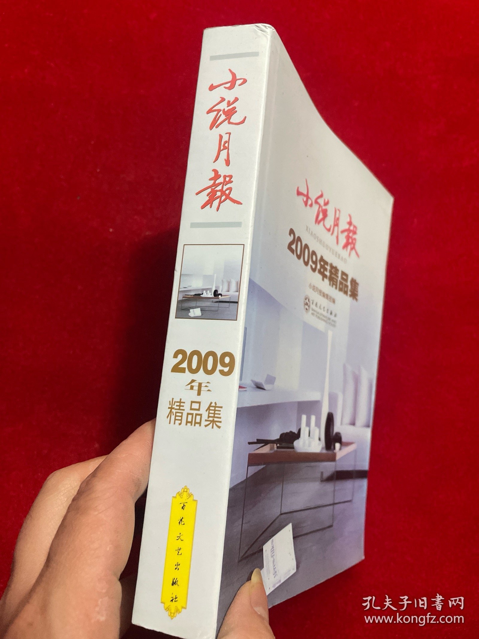 小说月报：2009年精品集