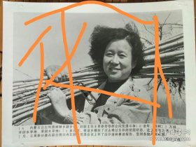 内蒙古达拉特旗树林乡副乡长、妇联主任王果香，联合国日内瓦作治沙造林报告。