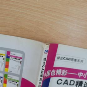 小房也精彩——中小户型设计CAD精选图集