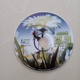 亚瑟、 DVD、 光盘