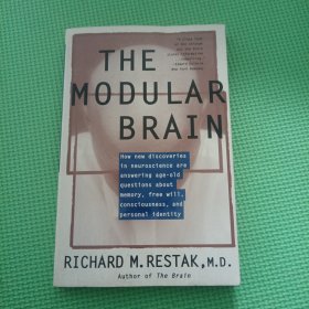 THEMODULARBRAIN模块化的大脑 外文原版