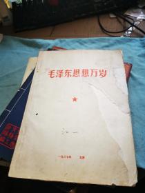 毛泽东思想万岁，1967年