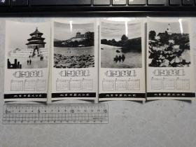 1981年 月历照片4张 印刷品 北京