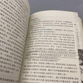 堤契诺之歌：散文、诗与画