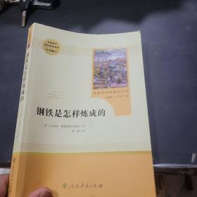 统编语文教材配套阅读 八年级下：钢铁是怎样炼成的/名著阅读课程化丛书