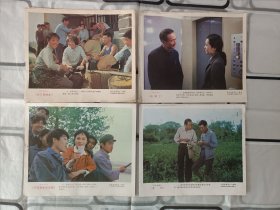 小海报：《山下是故乡2——8集》有7张，《电梯上1、3、5——8集》有19张，《不该发生的事1——7集》有7张，《龙种2——8集》有7张。4份合售。