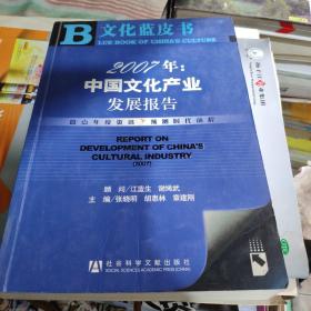 文化蓝皮书2007年：中国文化产业发展报告