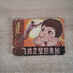 连环画：飞檐走壁的奥秘