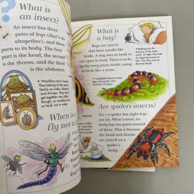 I Wonder Why英文版十万个为什么（3本合售）： Spiders spin webs、snakes shed their skin、Geese Go On Holiday