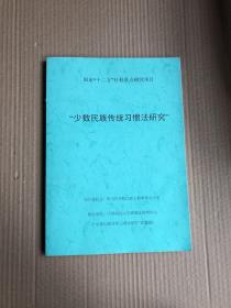 少数民族传统习惯法研究