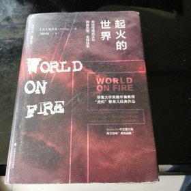 起火的世界：自由市场民主与种族仇恨、全球动荡/雅理译丛