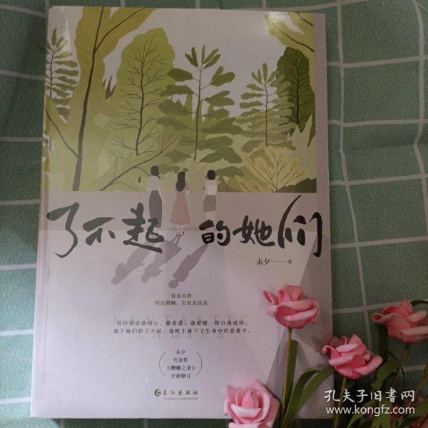 了不起的她们（知名情感小说作家&金牌编剧未夕代表作《糟糠之妻》全新修订版）