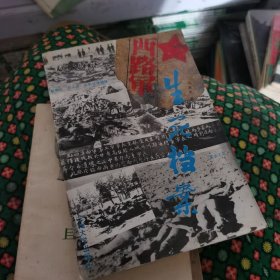 西路军生死档案