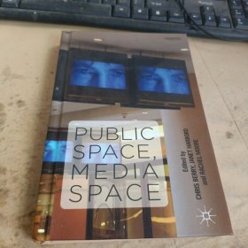 PUBLIC SPACE MEDIA SPACE