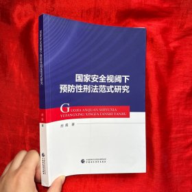 国家安全视阈下预防性刑法范式研究【16开】