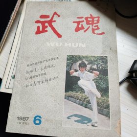 武魂 1987 6 蝉联九次全国冠军的太极拳 套路 八门拳术散手数招 肾气归原功法 纪效新书长枪总说 剑的防守与反击