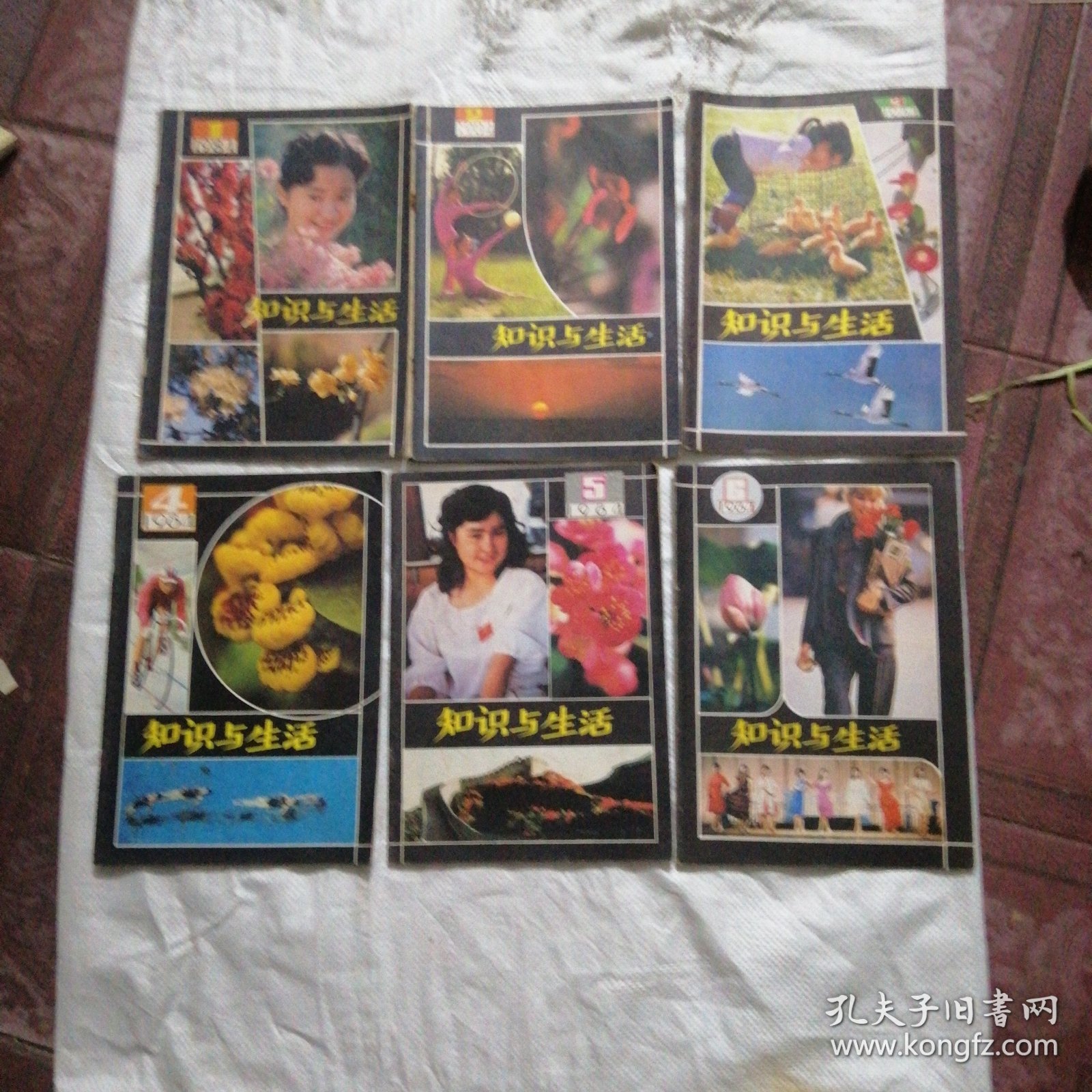 知识与生活 1984年1-6期双月刊