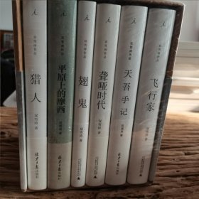 双雪涛创作十周年作品集（全六册）《天吾手记》《聋哑时代》《翅鬼》和短篇小说集《平原上的摩西》《飞行家》《猎人》全新塑封