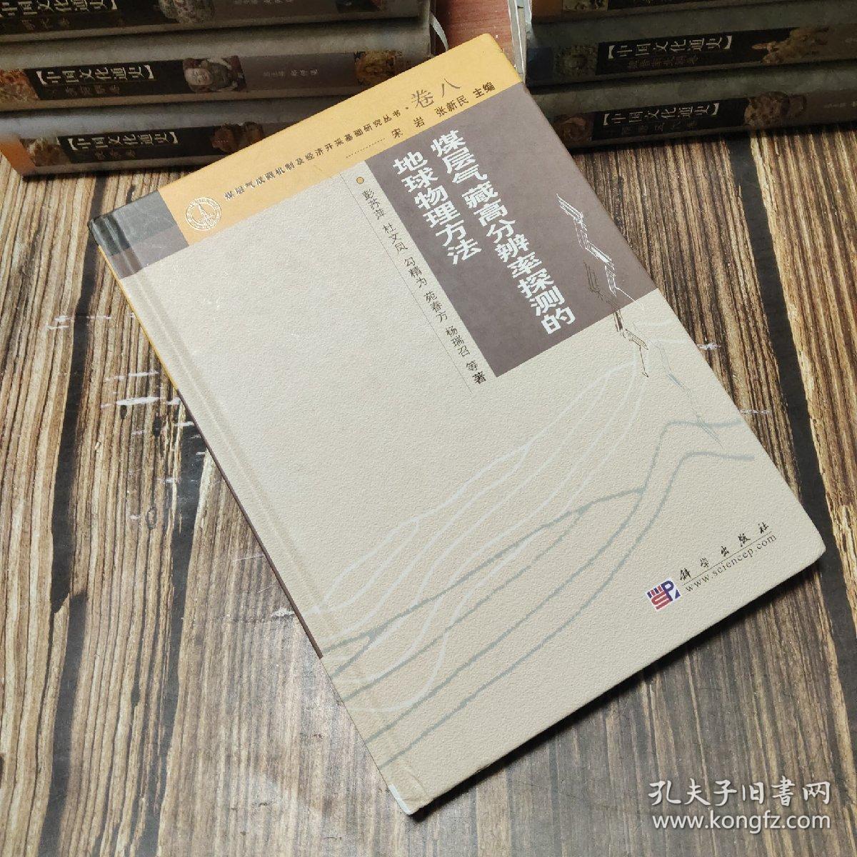 煤层气藏高分辨率探测的地球物理方法