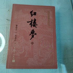 四大名著大字本红楼梦 中