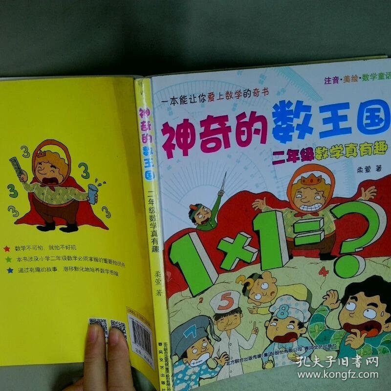 神奇的数王国数学童话二年级数学真有趣注音美绘  柔萱著 春风文艺出版社
