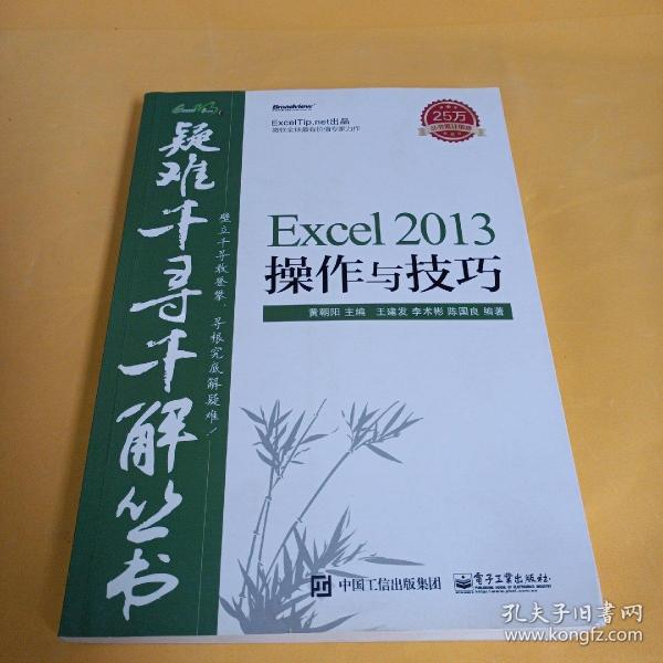 疑难千寻千解丛书 Excel 2013操作与技巧