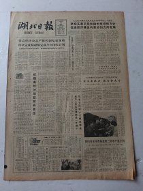 湖北日报1983年6月10日4版