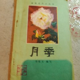 月季