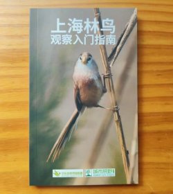 上海林鸟观察入门指南 25年新版