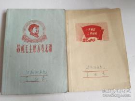 老日记本王淑惠（记满整本，满是70年代历史记录）2本合售