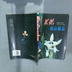 兰花新品稀品