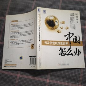 中国怎么办：当次货危机改变世界