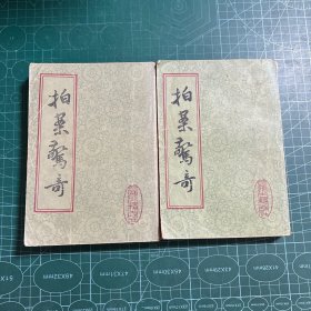 拍案惊奇（上下）