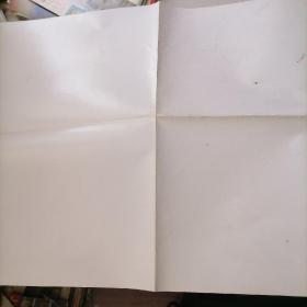 体育画报赠页《群星欢聚》，高锋丶南方一那英丶傅艺伟，朱幼平摄影