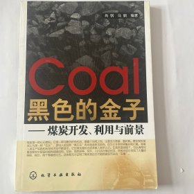 黑色的金子：煤炭开发、利用与前景