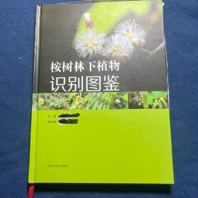 桉树林下植物识别图鉴(精)