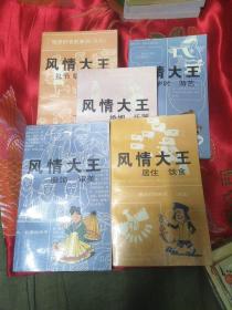 风情大王【礼节 祭祀 禁忌，婚姻 乐器，服饰 审美，居住 饮食，岁时 游艺】共5本