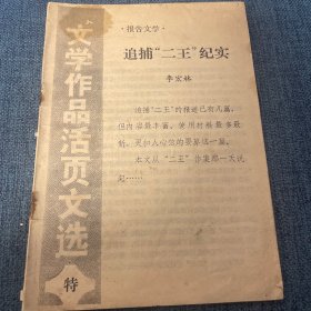 追捕“二王”纪实