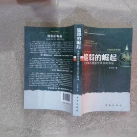 脆弱的崛起：大战略与德意志帝国的命运